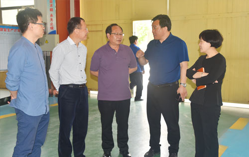 山東魯磁 山東魯磁