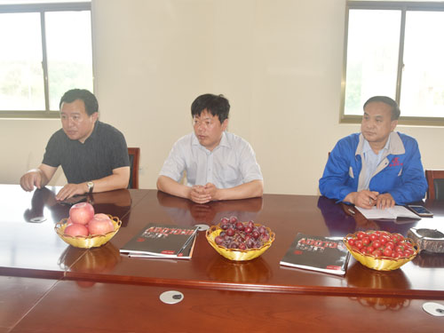 山東魯磁 山東魯磁